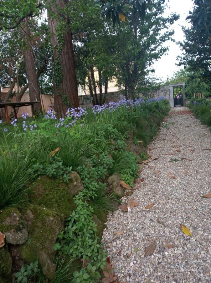 B&B Villa Gualterio Bolsena Eksteriør bilde